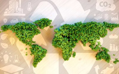 Corporate Social Responsibility bei WUM Design